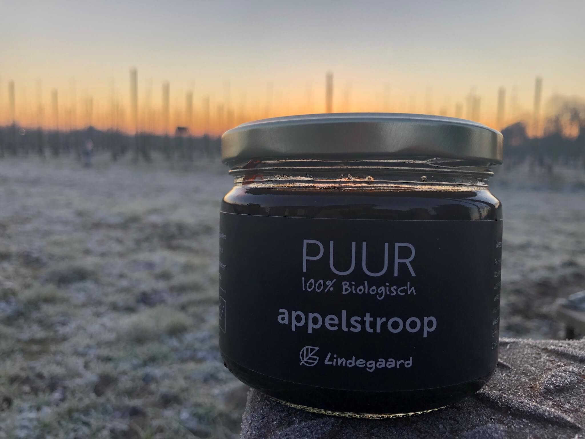 100% biologische appelstroop in pot